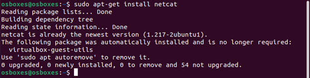 Figure 1 - Linux Installation of Netcat Reverse Shell.